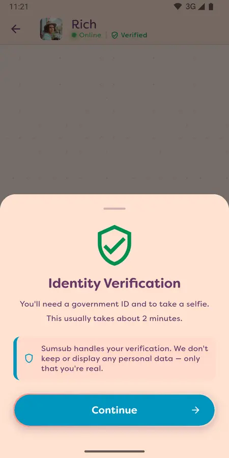 Chat verification gate